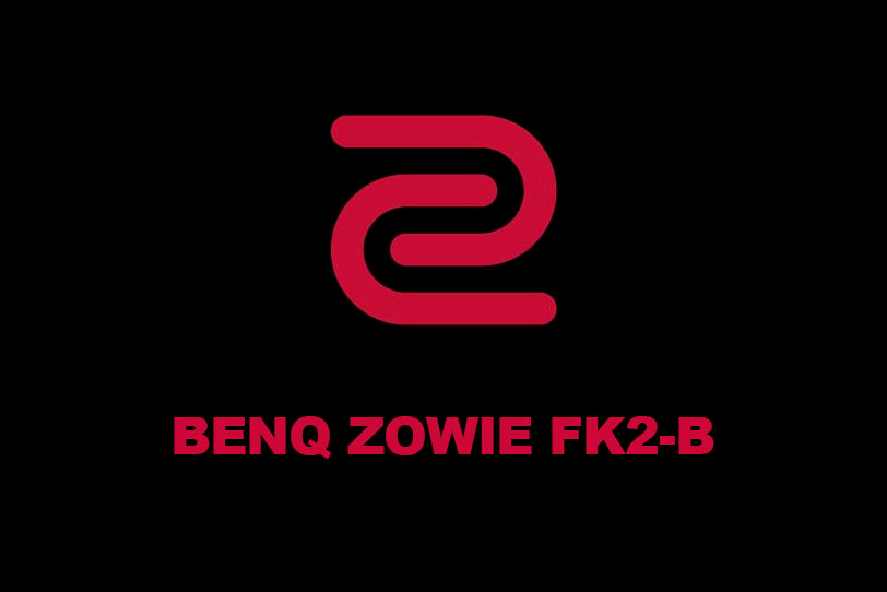 Examen de la souris BenQ Zowie FK2-B