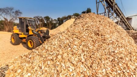 Cette startup utilise des copeaux de bois pour fabriquer du graphite pour les batteries de véhicules électriques This startup uses wood chips to make graphite for EV batteries