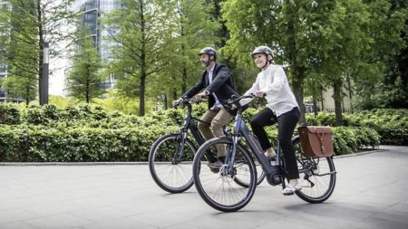 Diamant Zing Gen 2 : un vélo électrique puissant disponible dans de nombreuses variantes