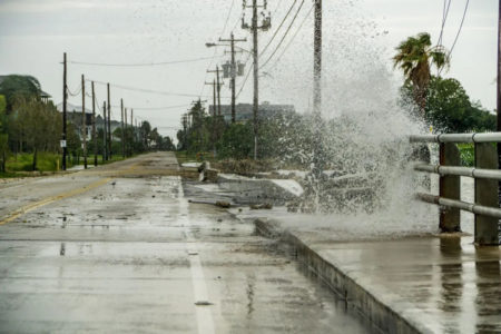 destruction de l'environnement