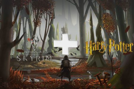 Illustration combinant les univers de Skyrim et Harry Potter.