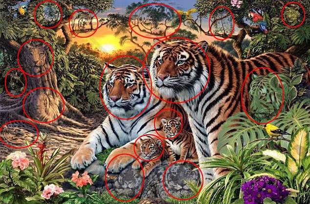 solution Test d'illusion optique tigre
