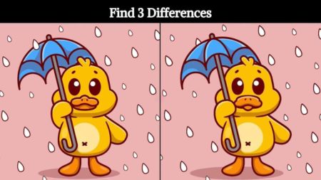 Trouvez 3 différences canard parapluie