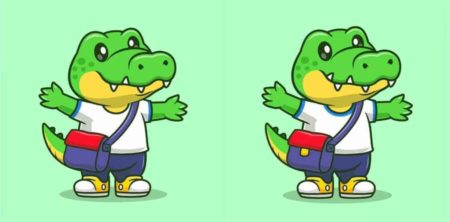 test visuel crocodiles