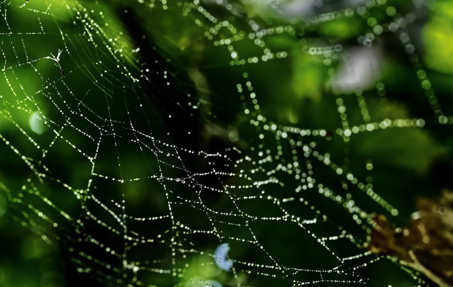 Scientists create real-life Spider-Man sticky-web shooter