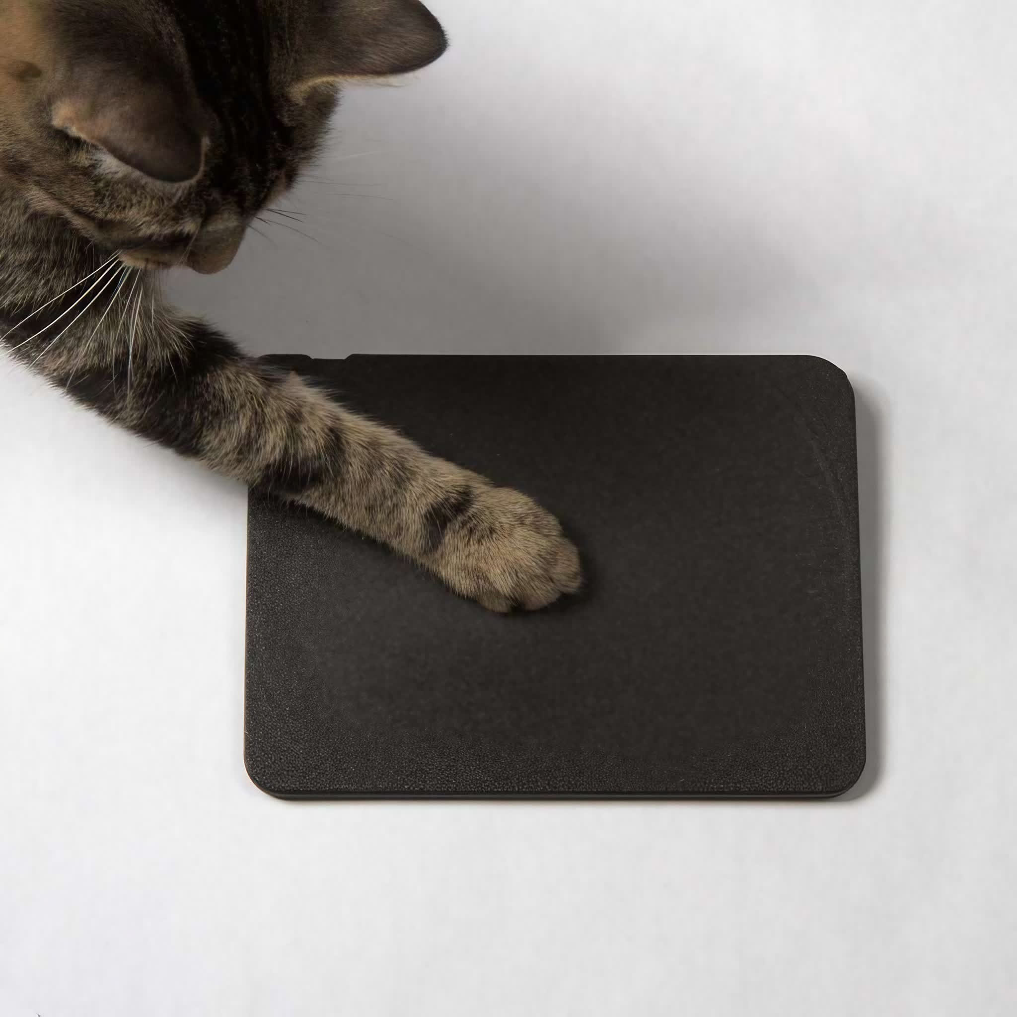 trackpad open source Ploopy extrêmement personnalisable, conçu pour bricoleurs