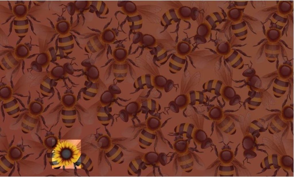 Repérer le tournesol caché parmi les abeilles solution