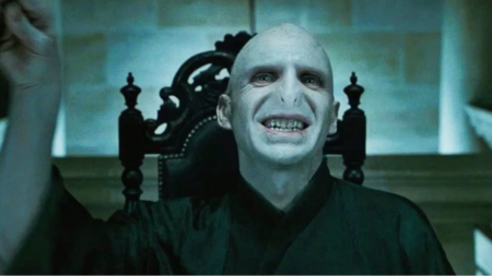 Harry Potter fans divided over Voldemort